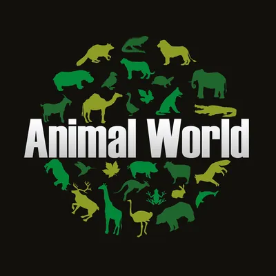 Animal World